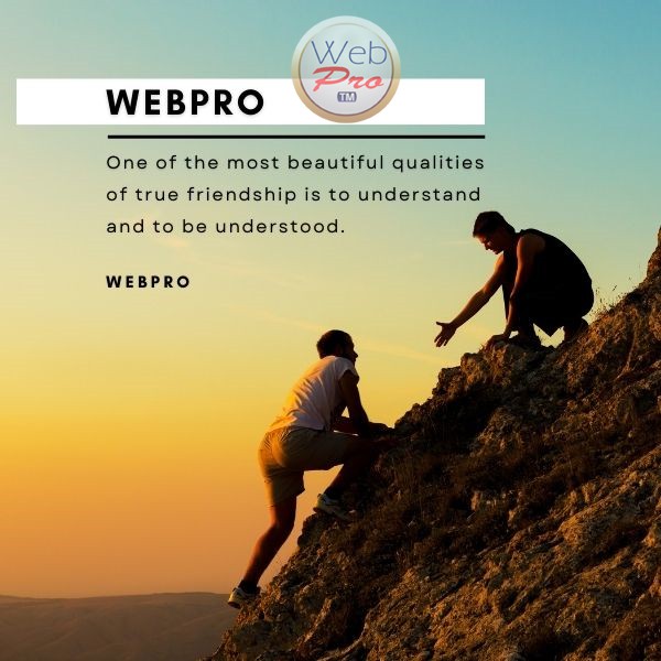 Webpro-Builder- (34)